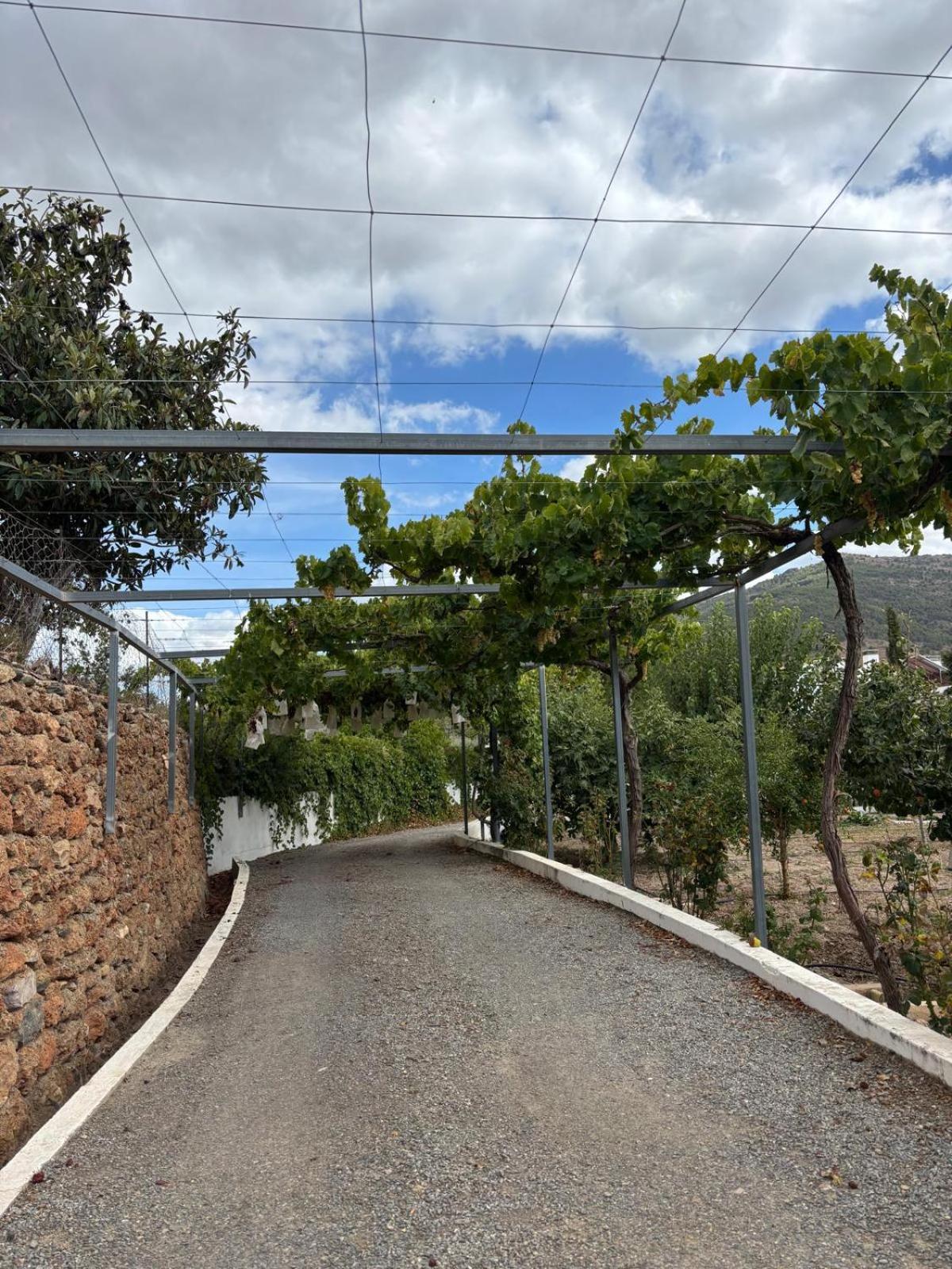 El Domingo En El Valle Fondón エクステリア 写真